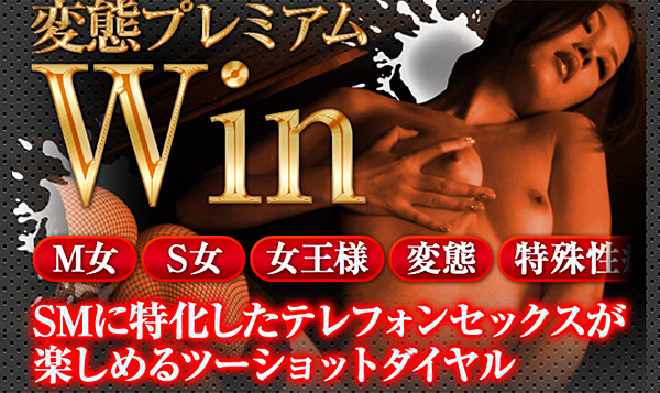 変態プレミアムWinの説明